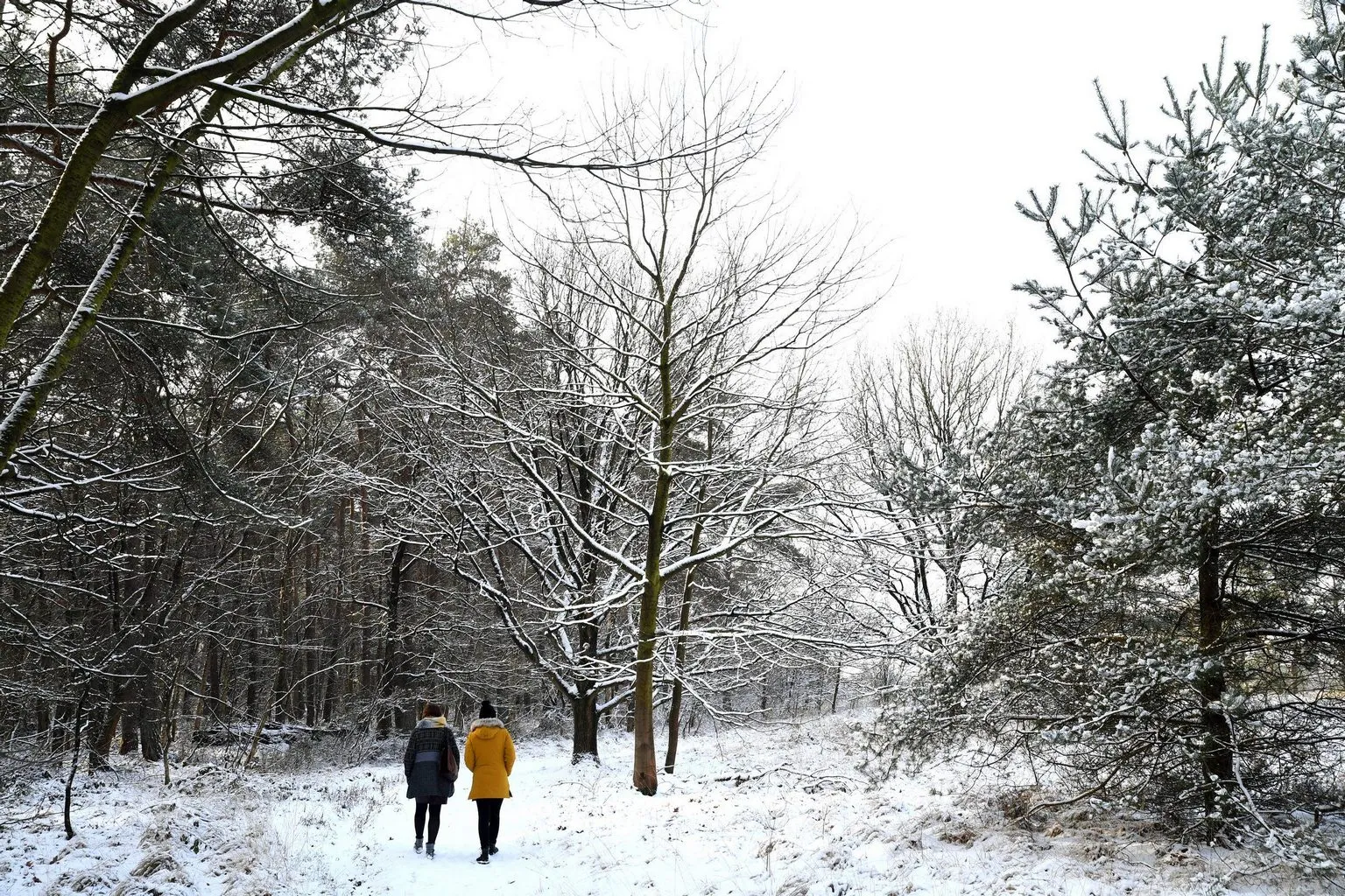 10381 20190123 achtmaal jst0028 5568x3712