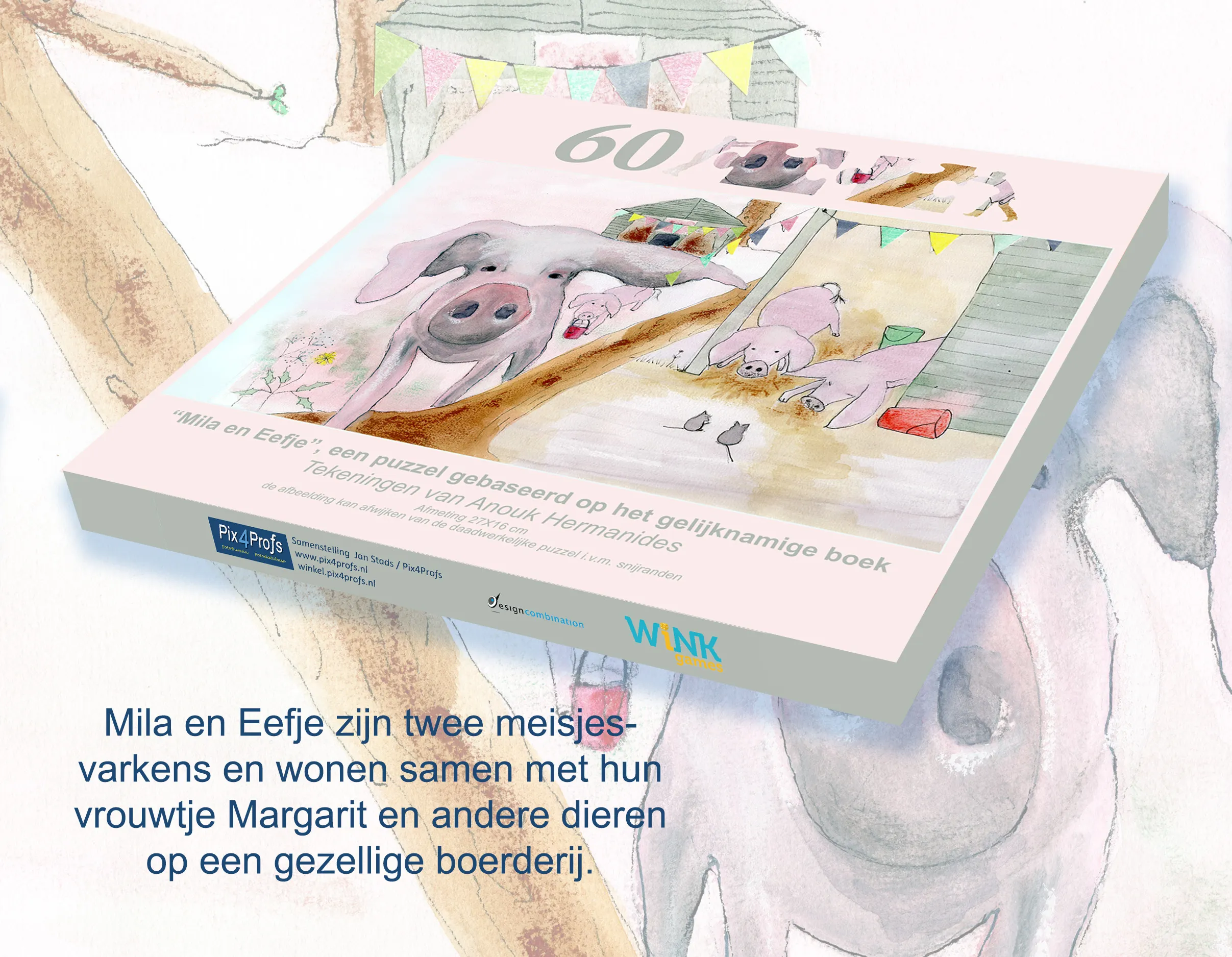 basisontwerp doos mila eefje promotie 2