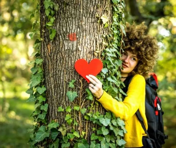 csm boom van het jaar 1 3df8bfe527