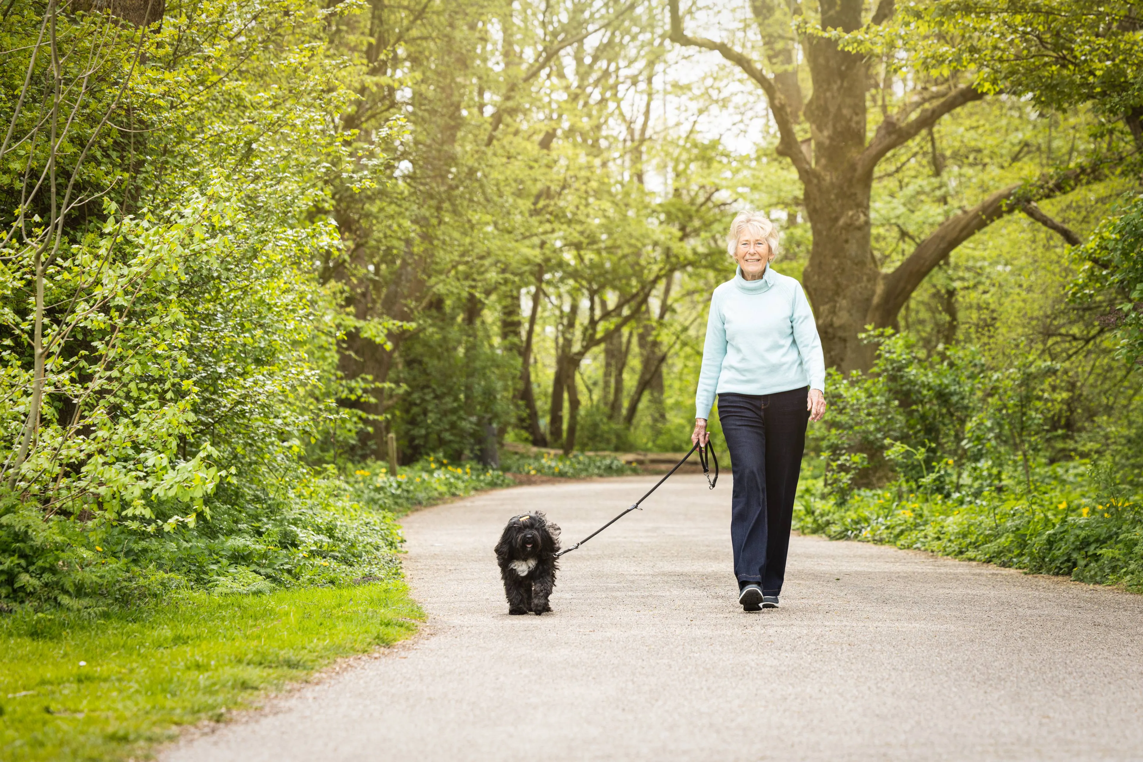 BK-20260415-OOPOEH-hond