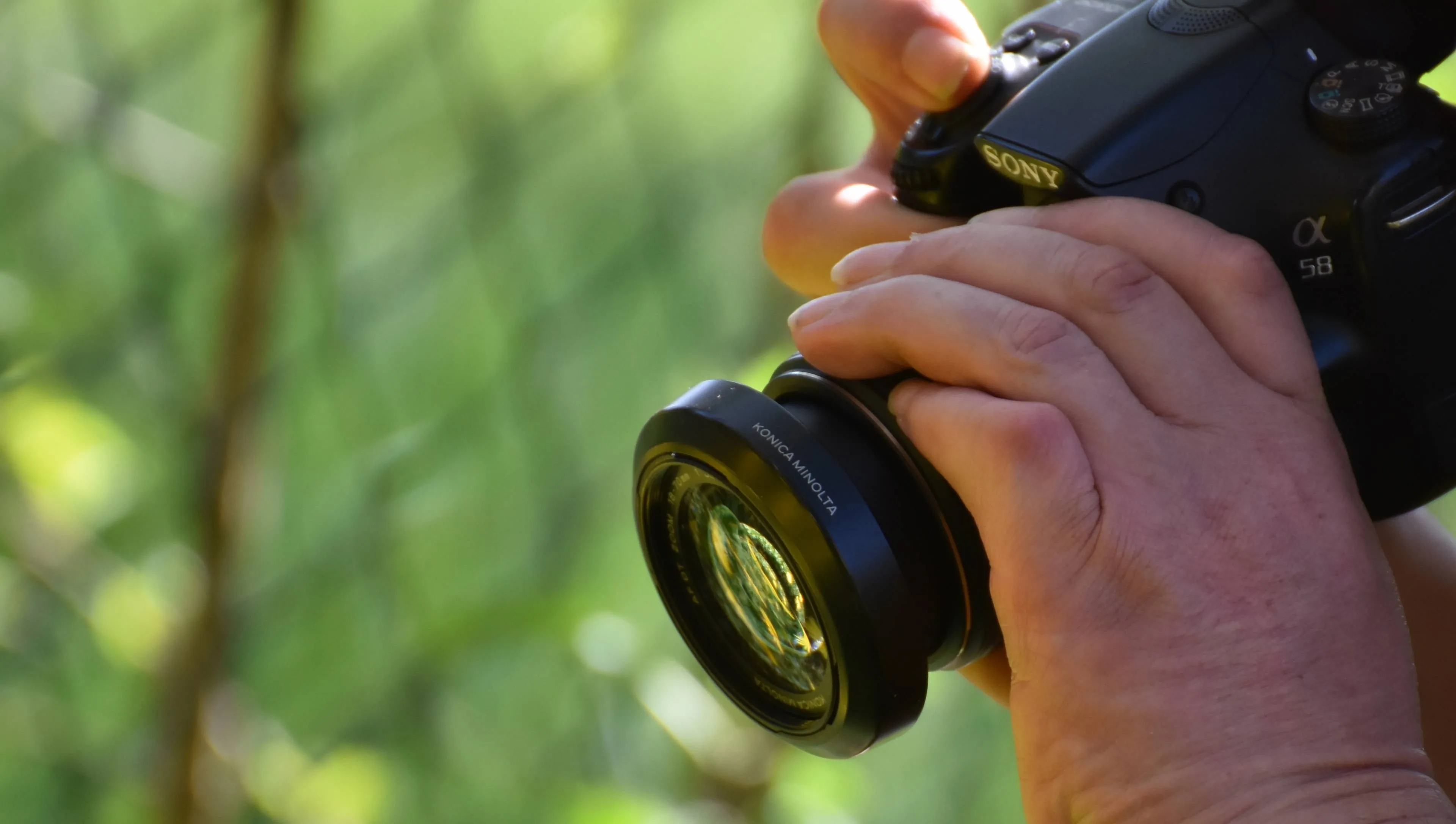 alexas_fotos-taking-photos-2255116