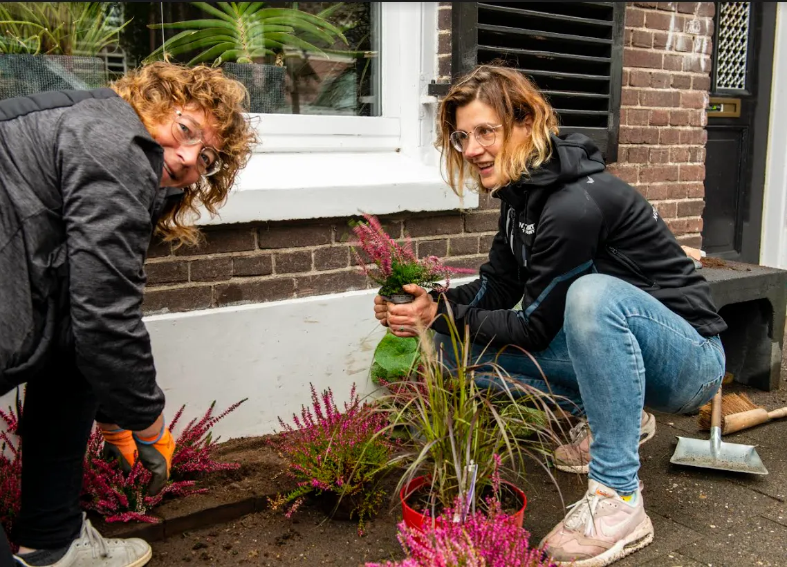 klimplanten overijssel