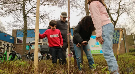 bomen planten ooz