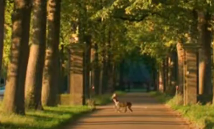 schermafbeelding 2020 11 21 om 084415