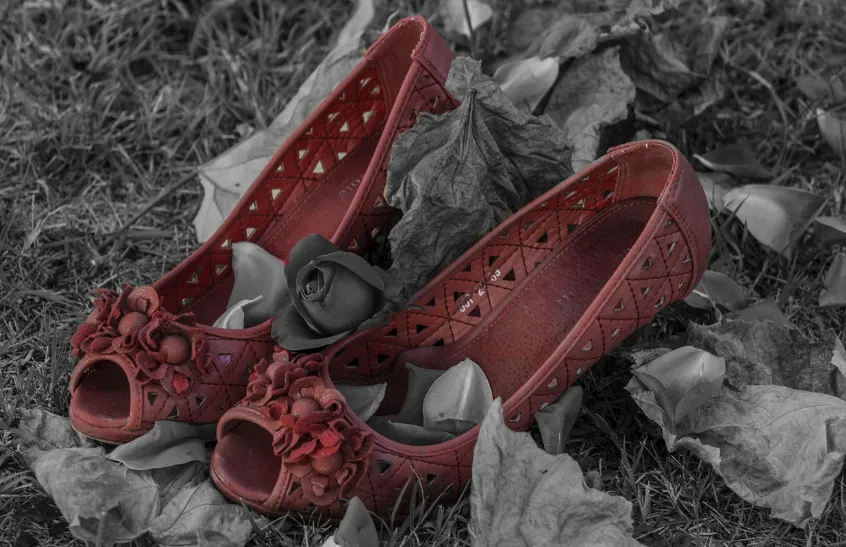 Schermafbeelding 2025-12-19 084010