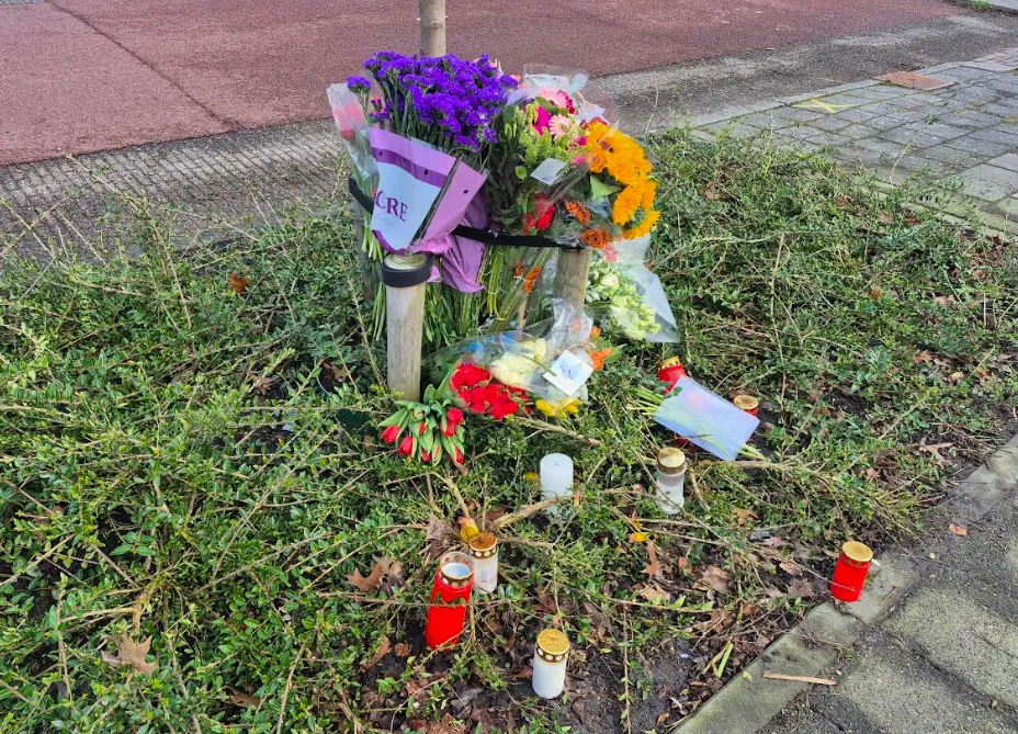 Schermafbeelding 2026-03-01 115108