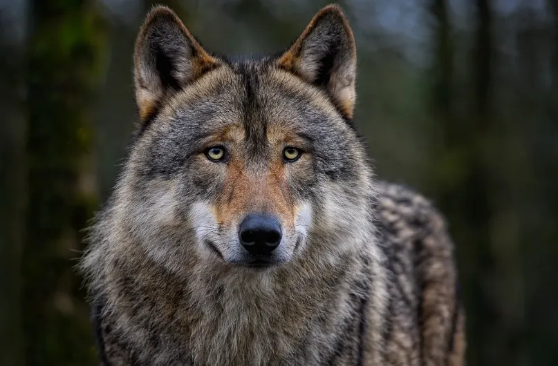 Schermafbeelding 2026-04-09 143632