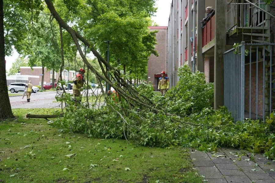 rijnstraat3