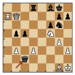 schaken4