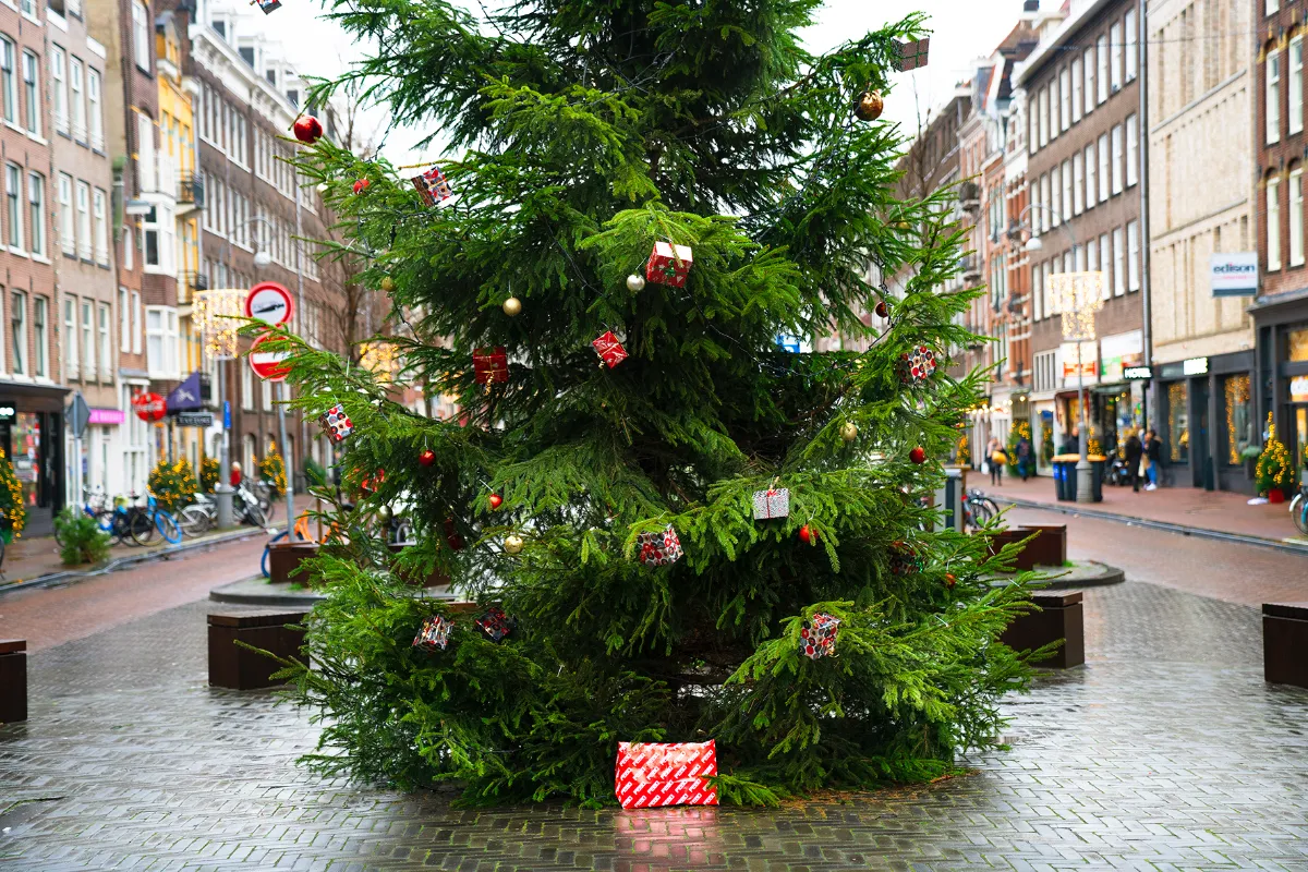 Té leuk FEBO verstopt vandaag cadeautjes onder de kerstboom