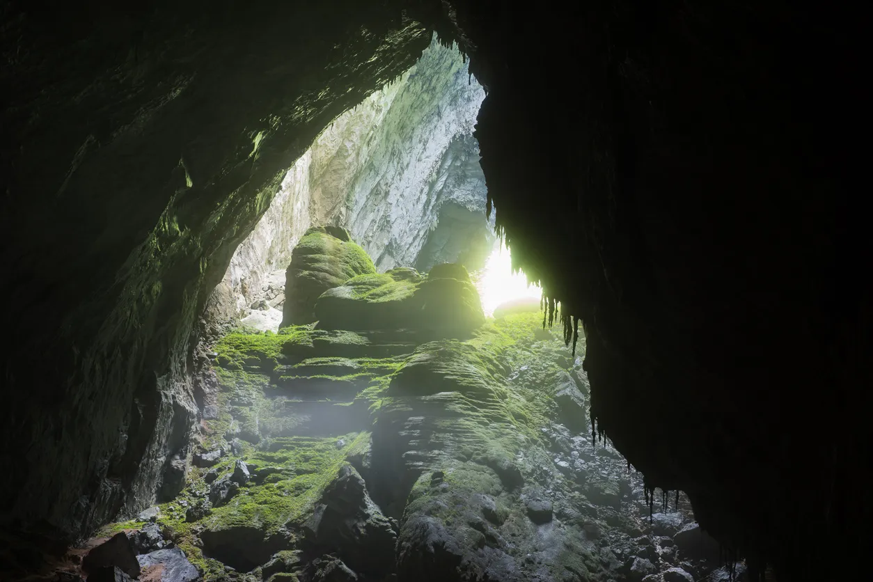 grootste grot vietnam jungle femfem