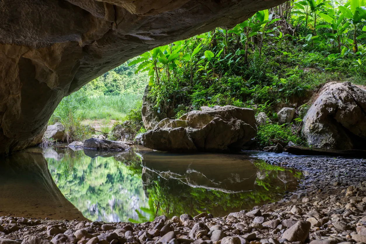 grootste grot vietnam opening femfem