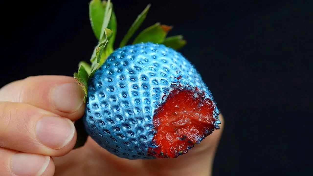 Dit is hoe kleurenblinde mensen de wereld zien