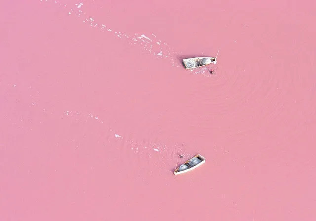 roze meer