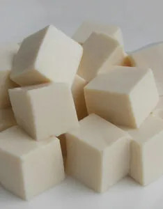 tofu 234x300