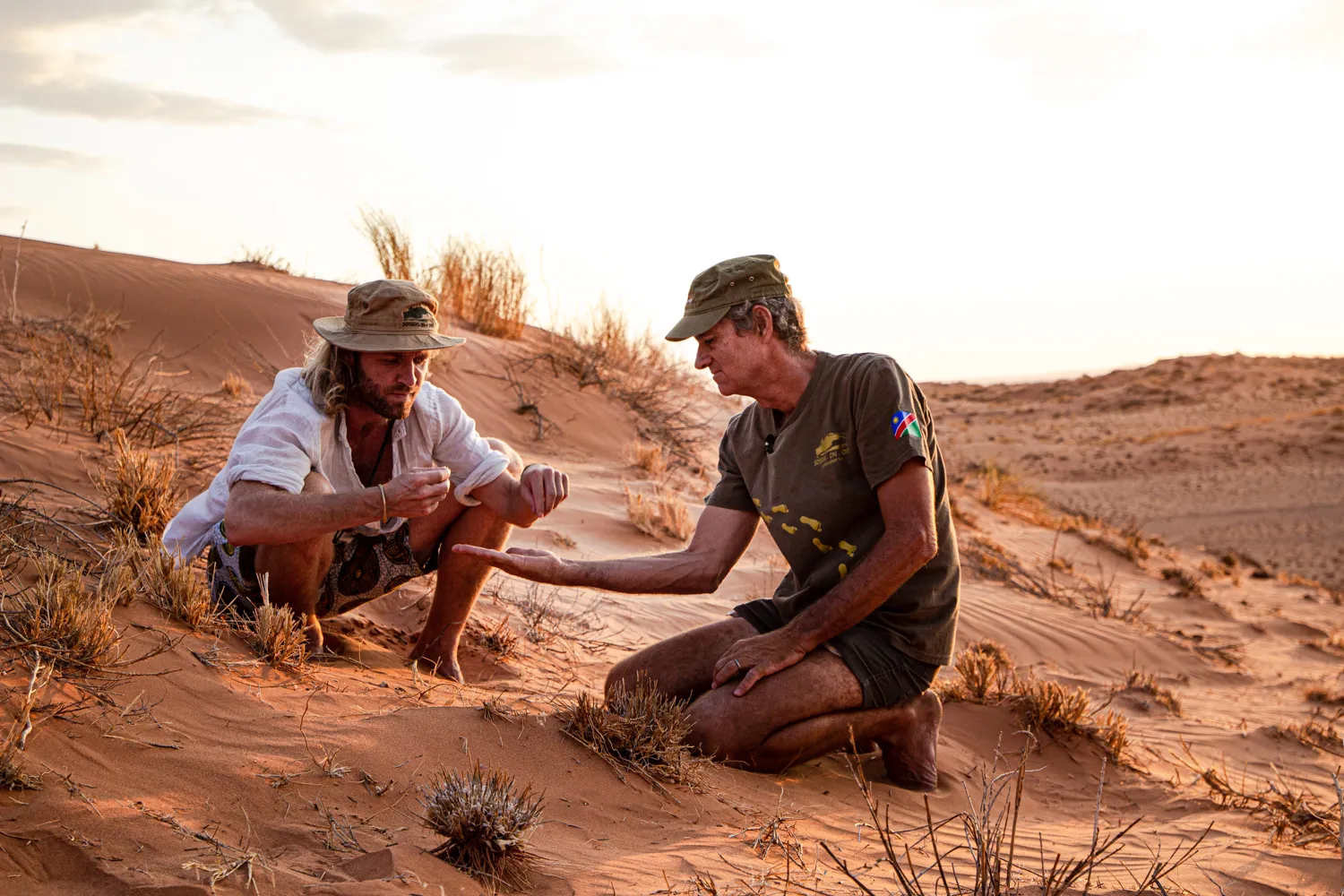 charlie in the namib oldest desert in the world stephanie louise zeejpg