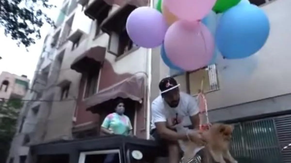dog baloons