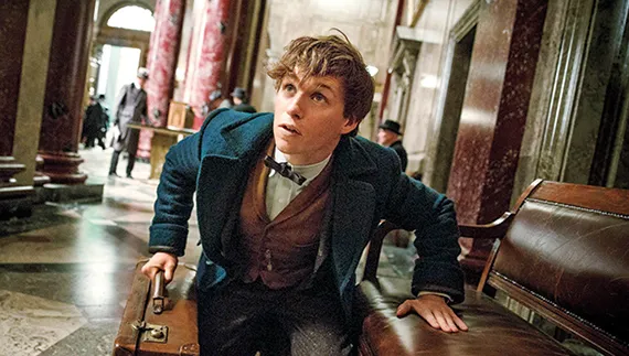 fantastic beasts and where to find them eddie redmayne