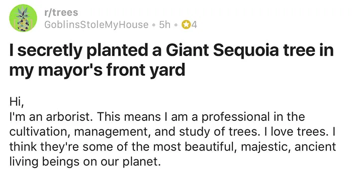 giant sequoia tree mayor revenge story 2