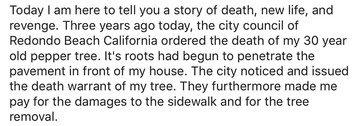 giant sequoia tree mayor revenge story 3