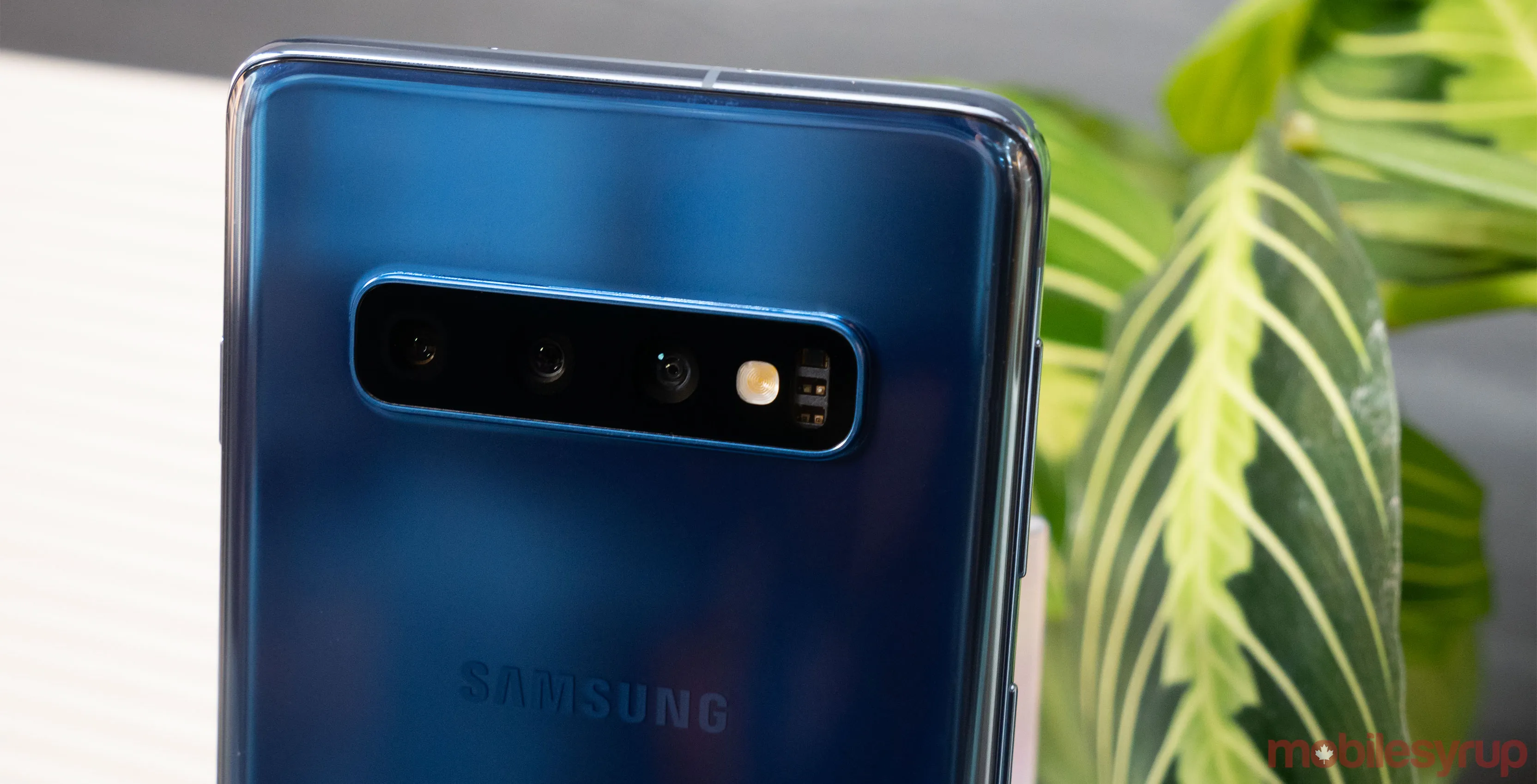 s10 blue review header