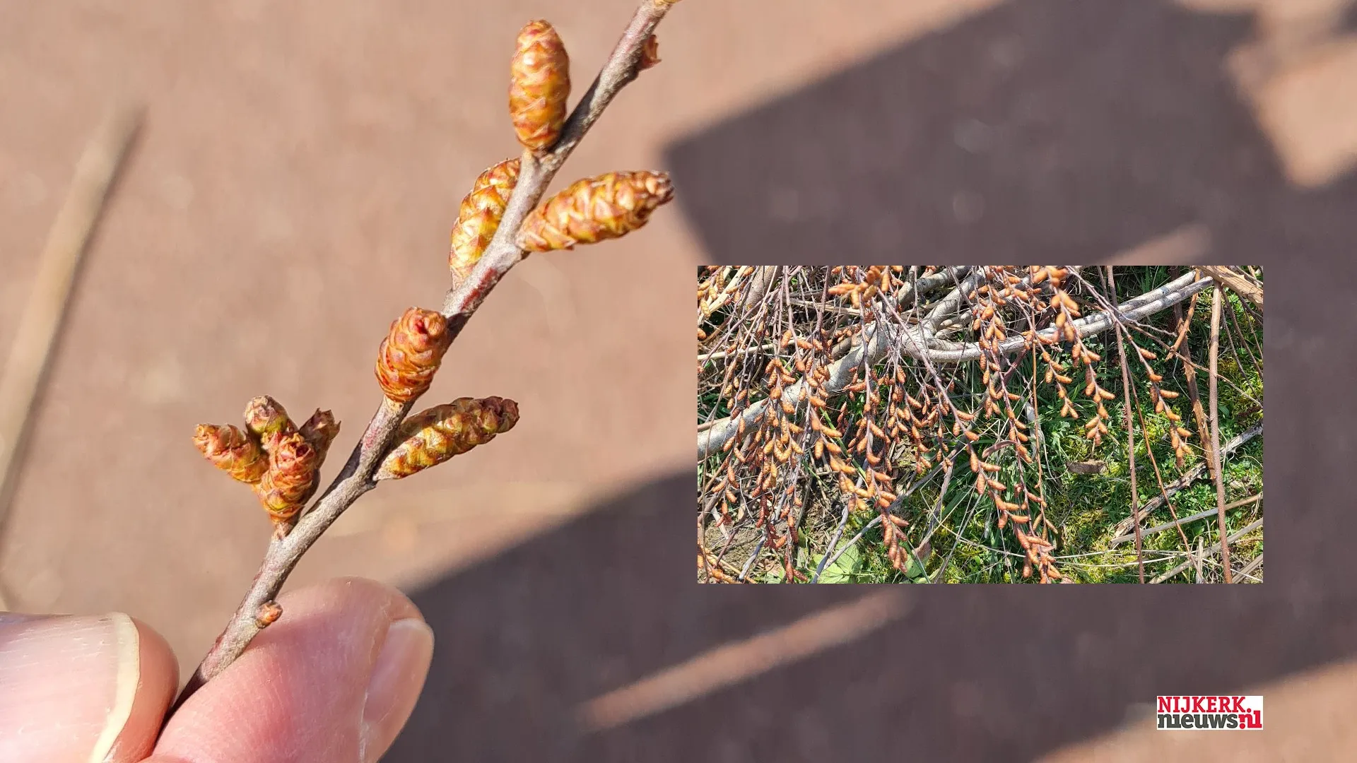 2023 03 18 hoop op geluk opschoon 5