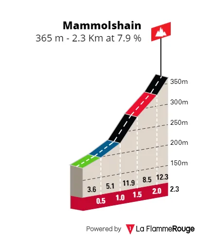 Mammolshain: 2.3Km; 7.9%; 112, 96 und 36.5Km vor dem Ziel prozentuales Steigungsprofil&amp;amp;amp;amp;lt;br&amp;amp;amp;amp;gt;