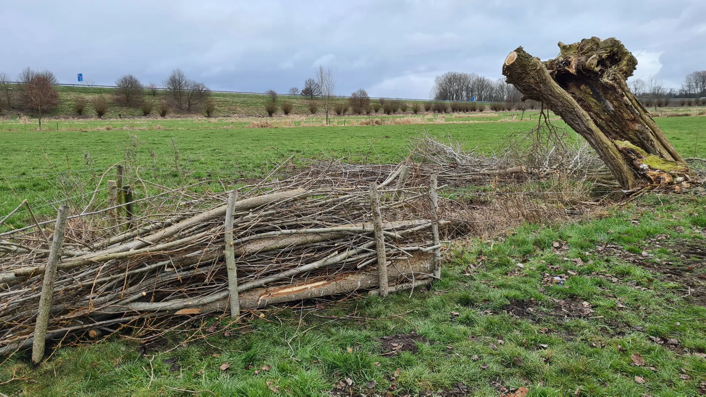 takkenril vrijwilligersgroep de elzenhof