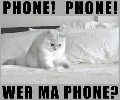 cat where my phone looking for my phone phone lost in bed favimcom 4208834
