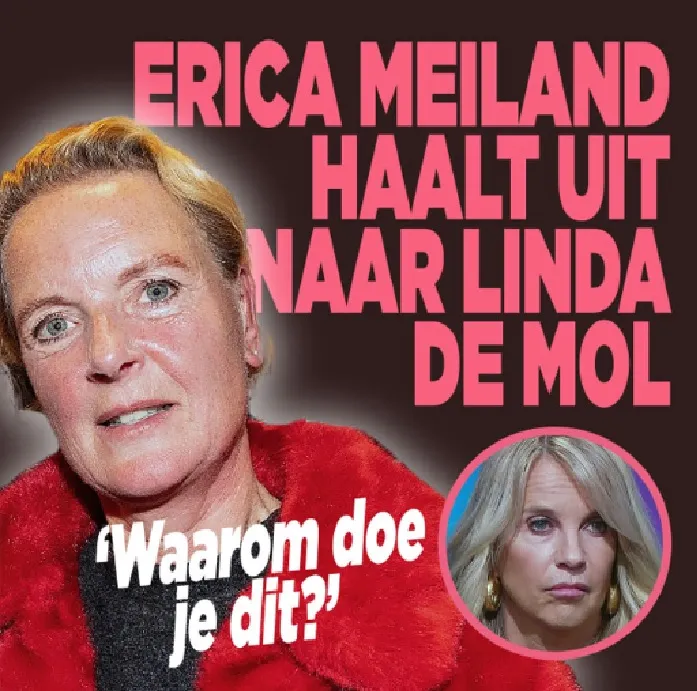 Bron: <a href="https://www.ditjesendatjes.nl/erica-meiland-haalt-uit-naar-linda-de-mol-waarom-doe-je-dit" rel="nofollow">Ditjesendatjes.nl</a>