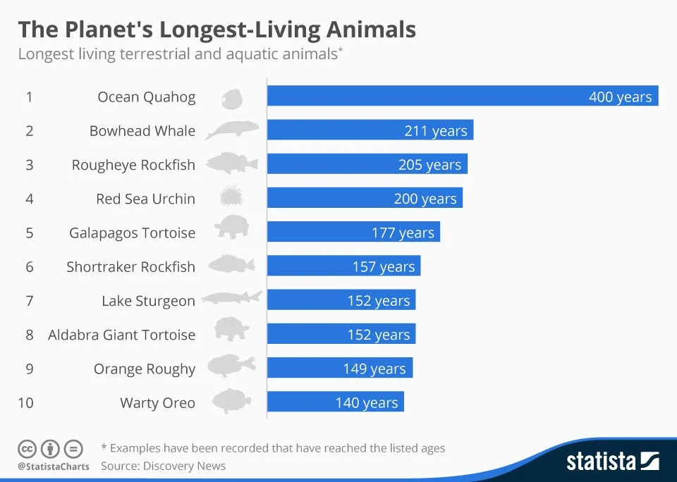 chartoftheday 3328 the planets longest living animals n