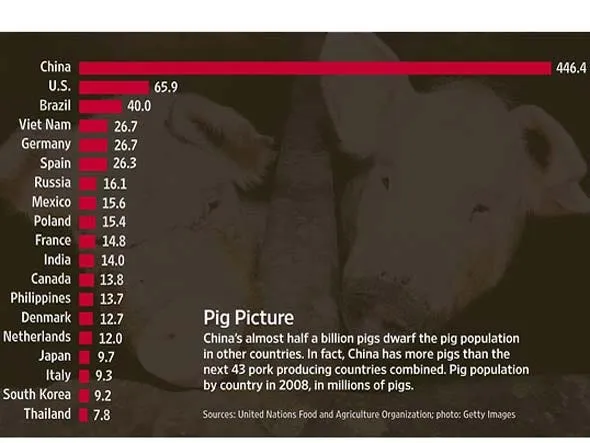 china has more pigs than the next 43 pork producing countries combined