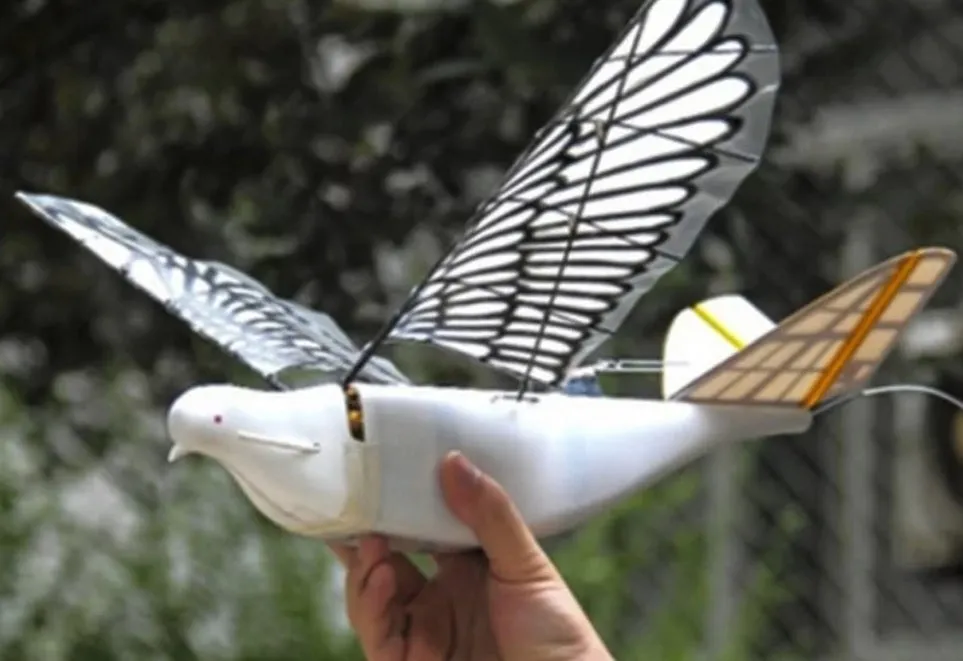 drone surveillance china spy bird