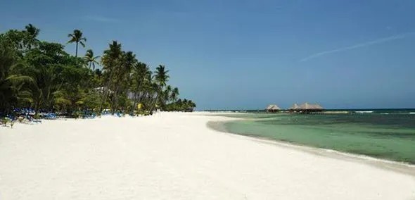 fantasy the immaculate beach at barcelo capella beach resort dominican republic