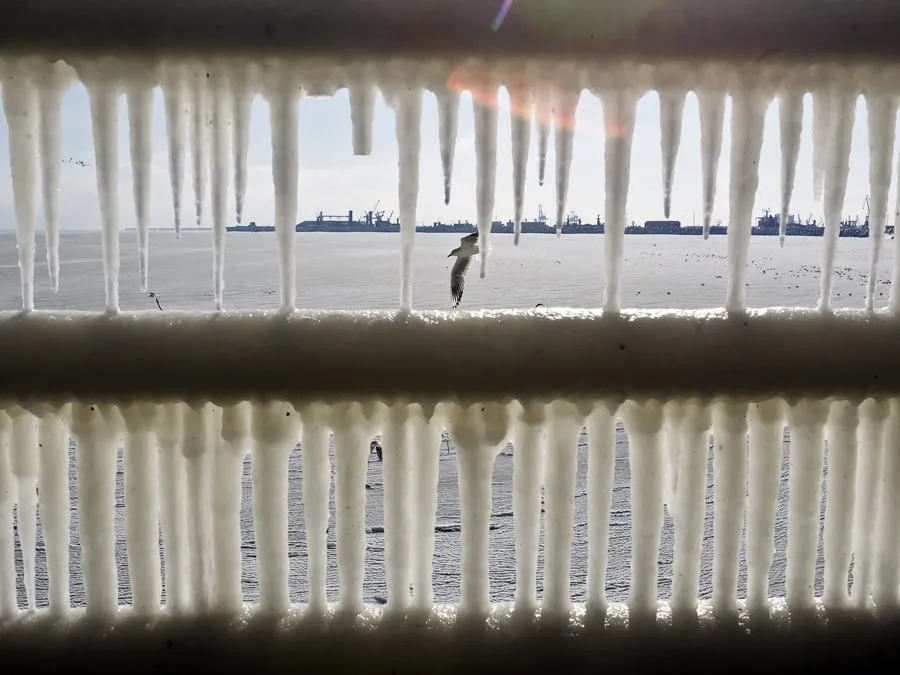 here icicles form over a fence by the black sea in romania