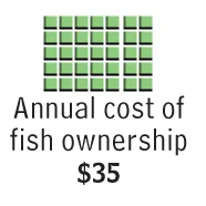 it costs 35 a year to own a fish