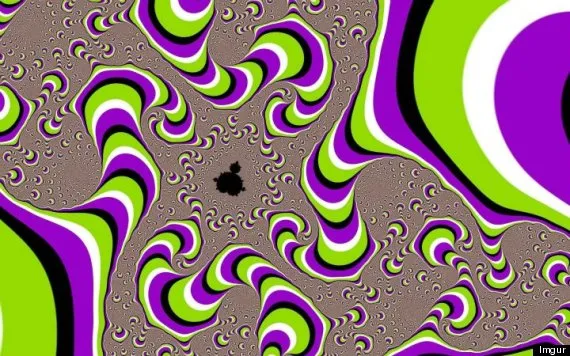 o optical illusions 570