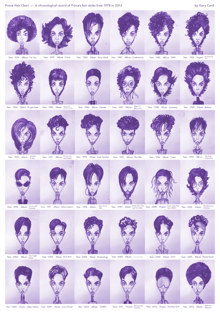 prince hairstyles chart