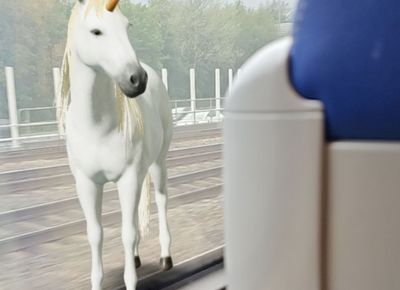  De grappige en leerzame Google AR-dieren lijken te verdwijnen
