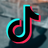 TikTok op werktelefoon rijksambtenaren wordt verboden, maar waarom?