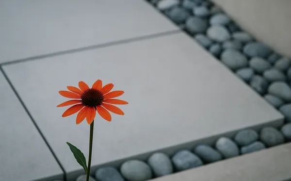 Een tuinman inschakelen voor een sfeervolle buitenruimte