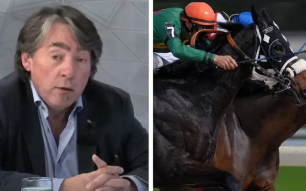GAIA reageert scherp na drama met twee overleden paarden op Waregem Koerse: "Beter een eind aan maken!"