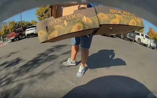 Tesla-eigenaar deelt hallucinante dashcambeelden van op supermarktparking: "Ik ben compleet in shock!"