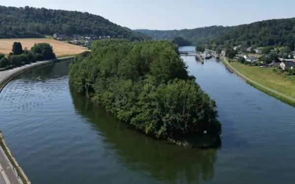 Dit privé-eiland in Wallonië kan van jou zijn voor € 95.000... maar er zit een addertje onder het gras