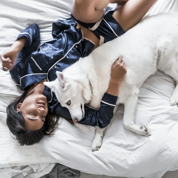 Onderzoek toont aan: vrouwen slapen liever naast hun hond dan naast hun partner
