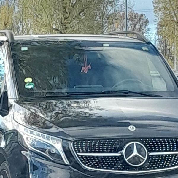 Vlaming met Mercedes heeft speciale nummerplaat die mensen doet nadenken: "Dit kan twee kanten op..."