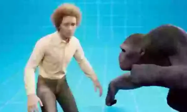 Bizarre simulatie toont welke schade je oploopt als je vecht met een paard, gorilla of kangoeroe