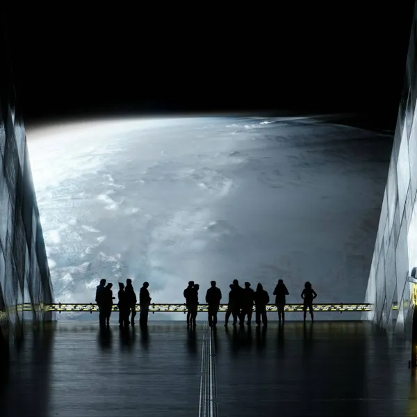 Harvard-onderzoek leidt tot schokkende conclusie: "Niet-menselijke intelligentie mogelijk al aanwezig op aarde"