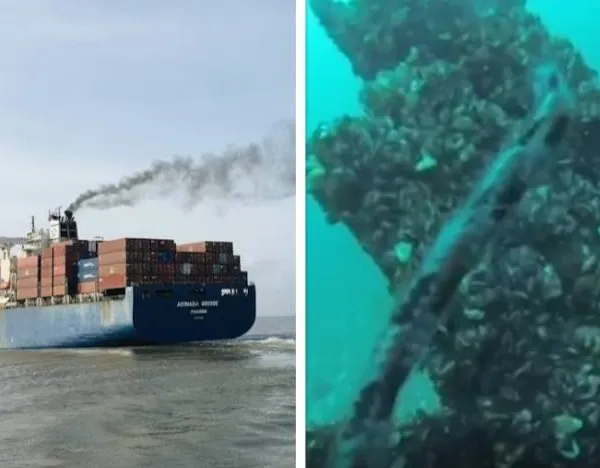 Duiker filmt angstaanjagend moment waarop gigantisch schip centimeters boven hem passeert: "Pure horror!"