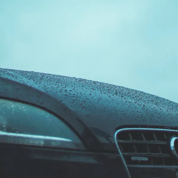 Dankzij de gepersonaliseerde nummerplaat van deze Vlaamse Audi-eigenaar weet je wat zijn favoriete bier is